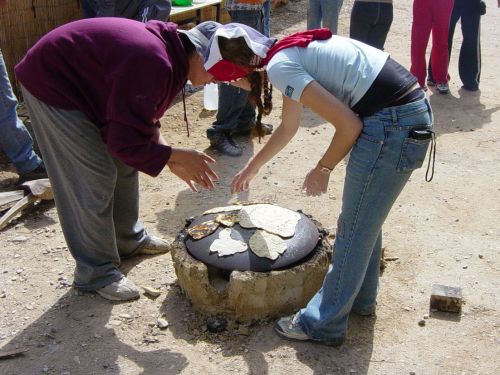 אירוח סייקל אין